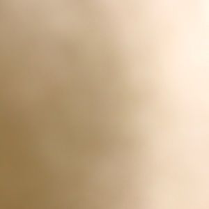 Meet your Posher, Nina